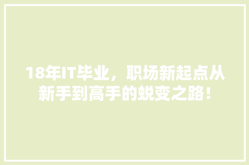 18年IT毕业，职场新起点从新手到高手的蜕变之路！ 网站建设