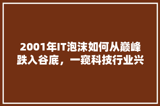 2001年IT泡沫如何从巅峰跌入谷底，一窥科技行业兴衰史！ 网站建设