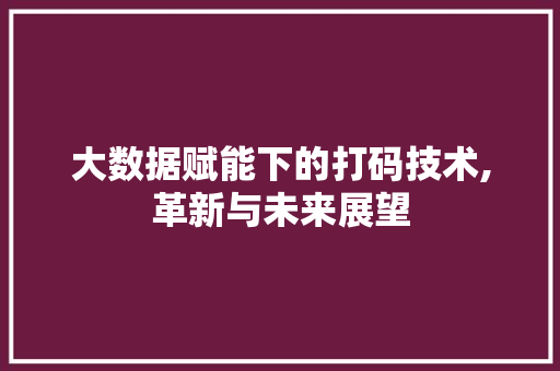 大数据赋能下的打码技术,革新与未来展望 项目报告