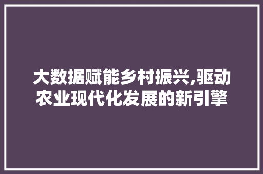 大数据赋能乡村振兴,驱动农业现代化发展的新引擎