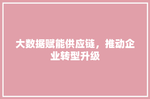 大数据赋能供应链，推动企业转型升级 MySQL