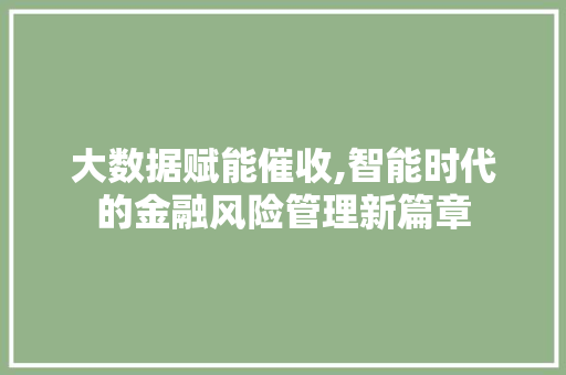 大数据赋能催收,智能时代的金融风险管理新篇章 缓存Redis