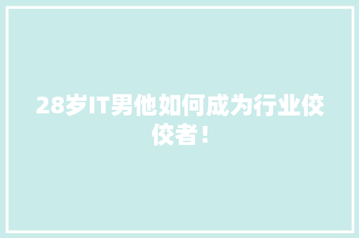 28岁IT男他如何成为行业佼佼者！ 缓存Redis