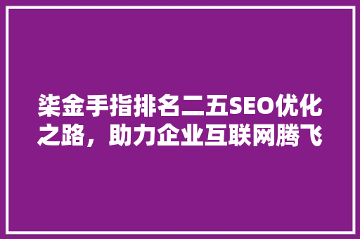 柒金手指排名二五SEO优化之路，助力企业互联网腾飞