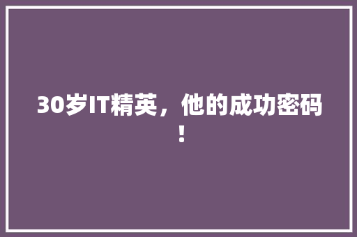 30岁IT精英，他的成功密码！ MySQL