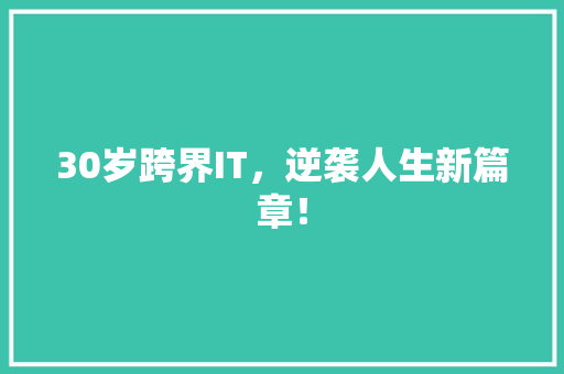 30岁跨界IT，逆袭人生新篇章！ 前端技术