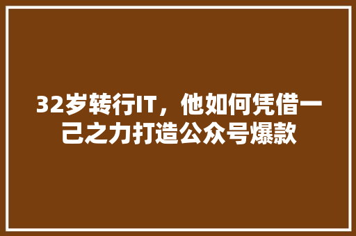 32岁转行IT，他如何凭借一己之力打造公众号爆款 网站建设