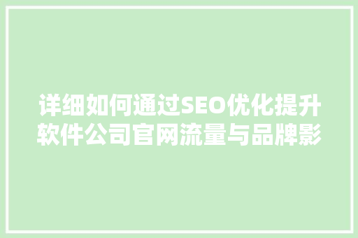 详细如何通过SEO优化提升软件公司官网流量与品牌影响力