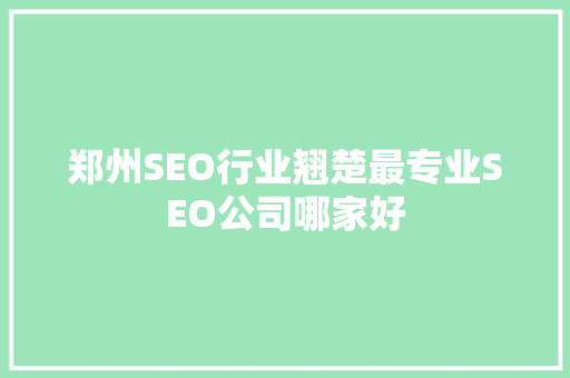 郑州SEO行业翘楚最专业SEO公司哪家好