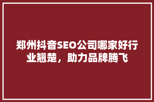 郑州抖音SEO公司哪家好行业翘楚，助力品牌腾飞