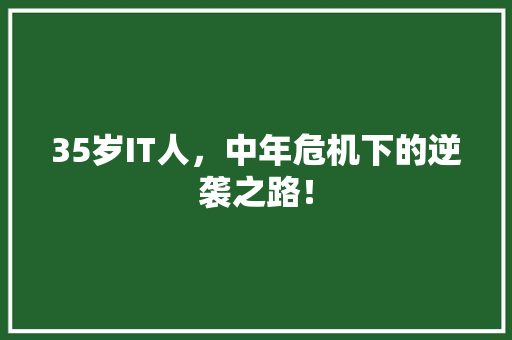 35岁IT人，中年危机下的逆袭之路！