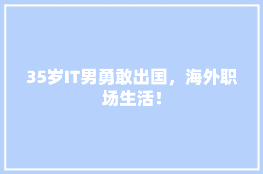 35岁IT男勇敢出国，海外职场生活！