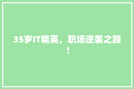 35岁IT精英，职场逆袭之路！ 后端技术