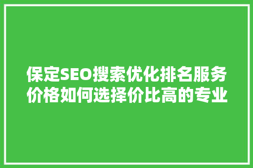 保定SEO搜索优化排名服务价格如何选择价比高的专业服务