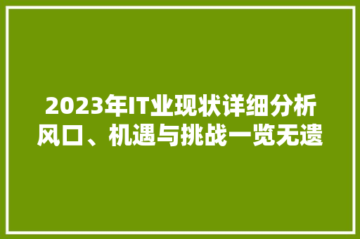 2023年IT业现状详细分析风口、机遇与挑战一览无遗 后端技术