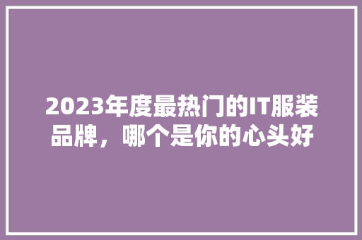 2023年度最热门的IT服装品牌，哪个是你的心头好 项目报告