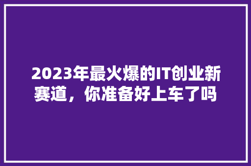 2023年最火爆的IT创业新赛道，你准备好上车了吗