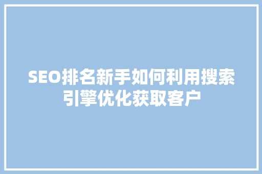 SEO排名新手如何利用搜索引擎优化获取客户