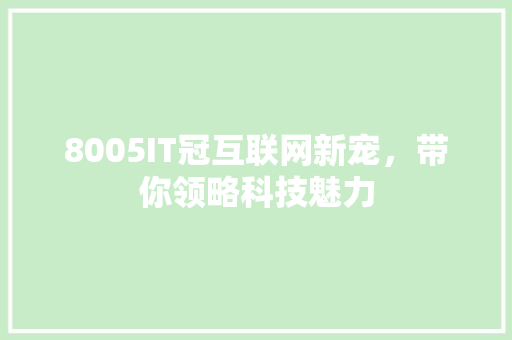 8005IT冠互联网新宠，带你领略科技魅力 前端技术