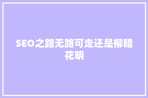 SEO之路无路可走还是柳暗花明
