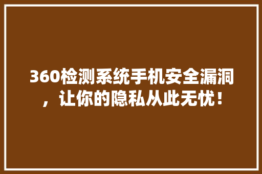 360检测系统手机安全漏洞，让你的隐私从此无忧！ 缓存Redis
