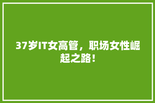 37岁IT女高管，职场女性崛起之路！ 响应式设计