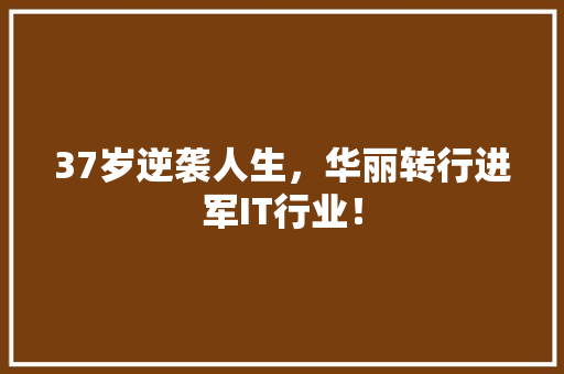 37岁逆袭人生，华丽转行进军IT行业！ 项目报告