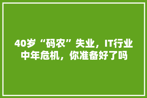 40岁“码农”失业，IT行业中年危机，你准备好了吗 网站建设