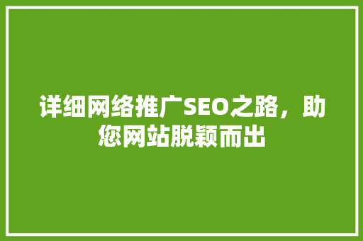 详细网络推广SEO之路，助您网站脱颖而出