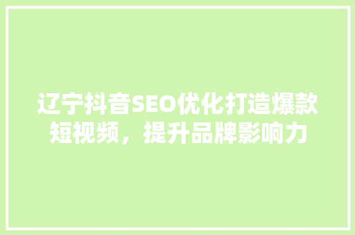 辽宁抖音SEO优化打造爆款短视频，提升品牌影响力