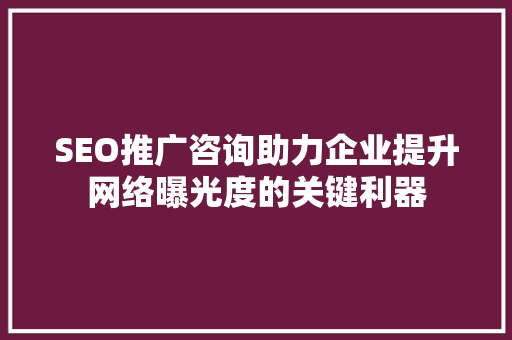 SEO推广咨询助力企业提升网络曝光度的关键利器