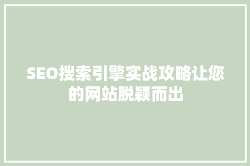 SEO搜索引擎实战攻略让您的网站脱颖而出