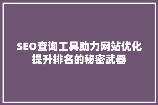 SEO查询工具助力网站优化提升排名的秘密武器