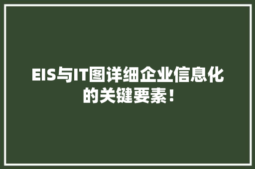 EIS与IT图详细企业信息化的关键要素！ 网站建设