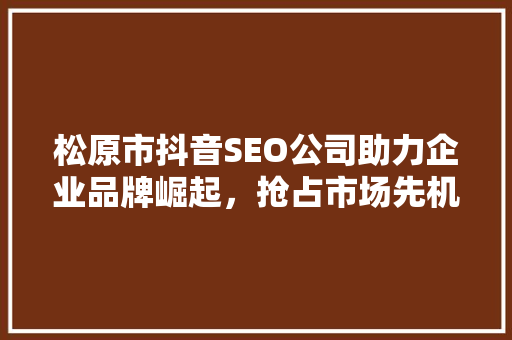 松原市抖音SEO公司助力企业品牌崛起，抢占市场先机