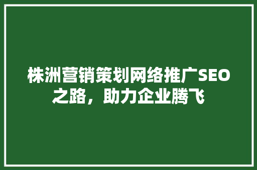 株洲营销策划网络推广SEO之路，助力企业腾飞