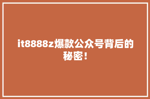 it8888z爆款公众号背后的秘密！ 项目报告