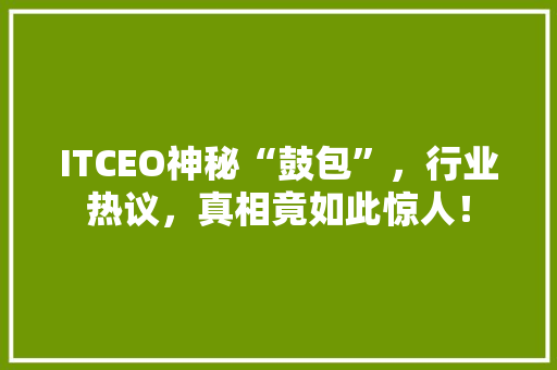 ITCEO神秘“鼓包”，行业热议，真相竟如此惊人！