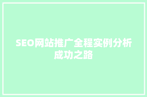 SEO网站推广全程实例分析成功之路