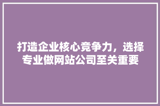 打造企业核心竞争力，选择专业做网站公司至关重要 商务信函