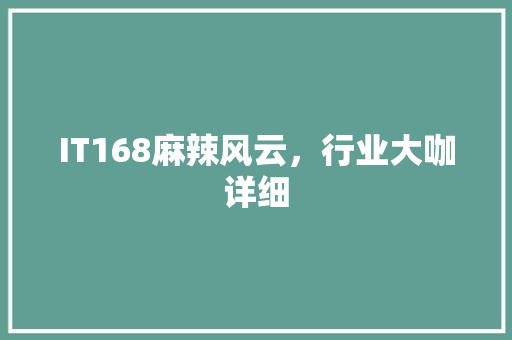 IT168麻辣风云，行业大咖详细