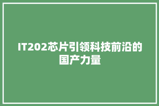 IT202芯片引领科技前沿的国产力量 商务信函