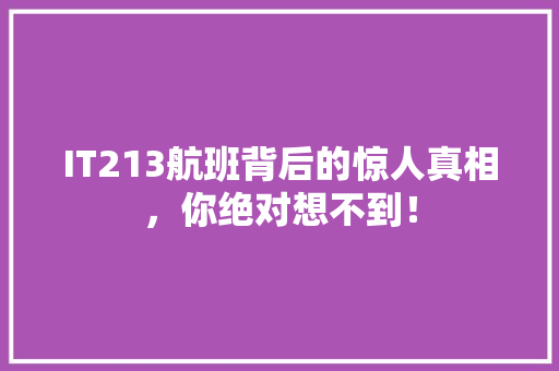 IT213航班背后的惊人真相，你绝对想不到！ 商务信函