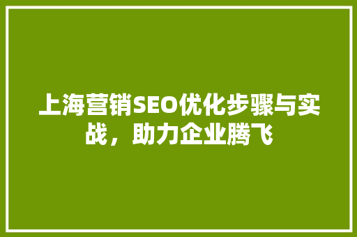 上海营销SEO优化步骤与实战，助力企业腾飞