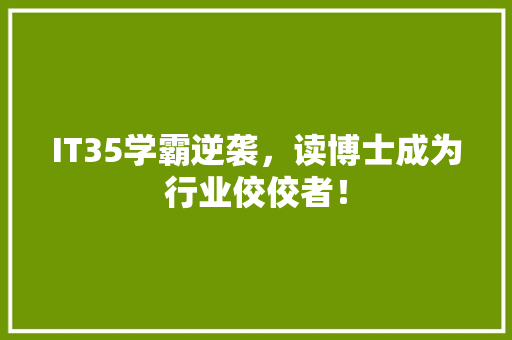 IT35学霸逆袭，读博士成为行业佼佼者！ 市场营销范文