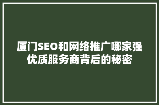 厦门SEO和网络推广哪家强优质服务商背后的秘密